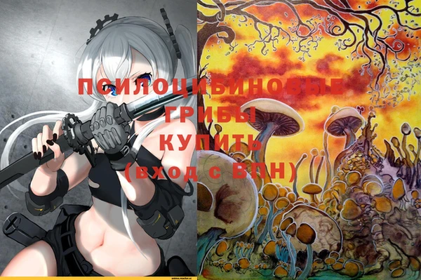 Альфа ПВП Вязьма