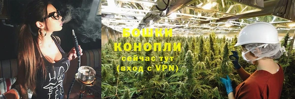 2c-b Вяземский