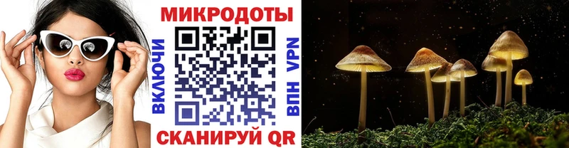 Псилоцибиновые грибы MAGIC MUSHROOMS  Купить  Тимашёвск 